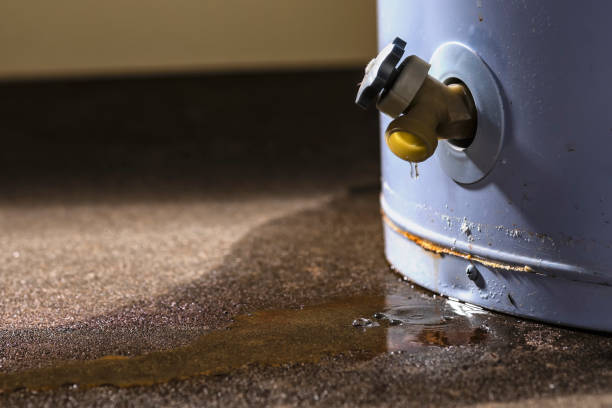 Best Water damage restoration near me  in Eaton Rapids, MI