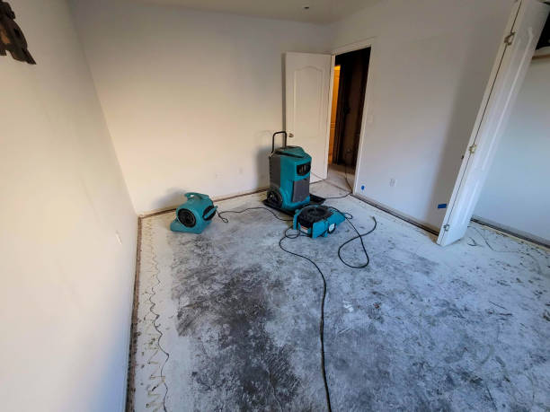 Best Emergency water damage restoration  in Eaton Rapids, MI