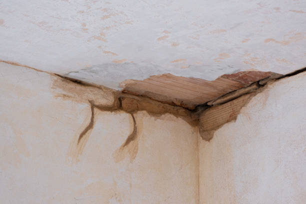 Trusted MI Water damage restoration Experts