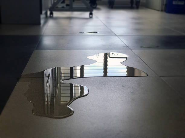 Best 24-hour water damage restoration  in Eaton Rapids, MI