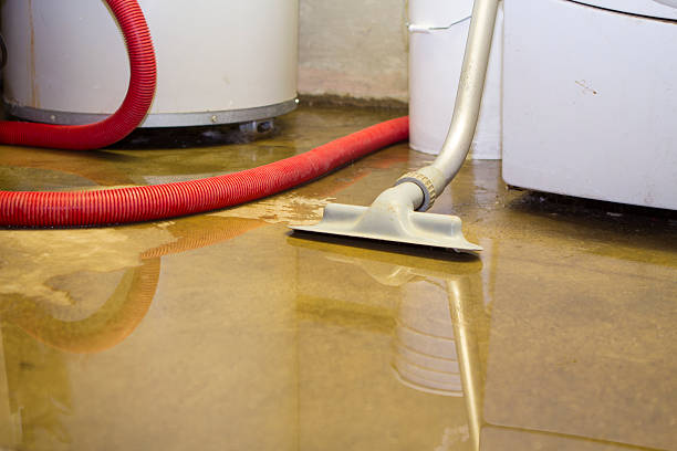Best Water damage restoration services  in Eaton Rapids, MI
