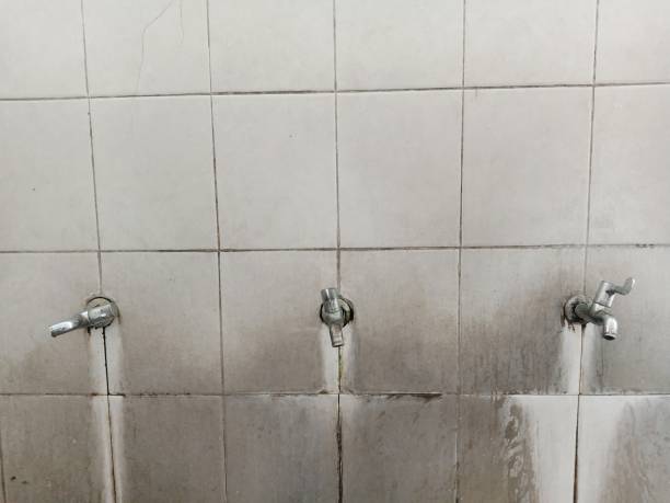 Best 24-hour water damage restoration  in Eaton Rapids, MI