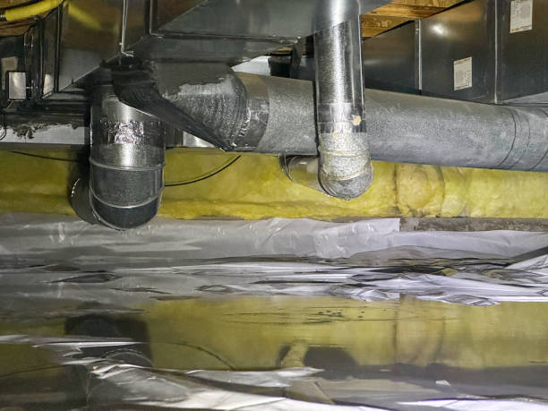 Best Water damage repair service  in Eaton Rapids, MI