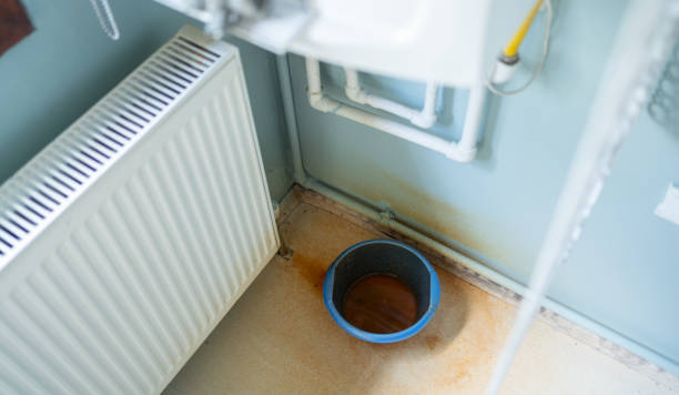 Best Water damage restoration near me  in Eaton Rapids, MI