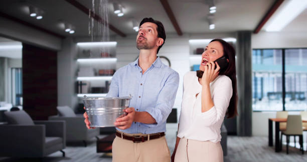 Best Water damage cleanup near me  in Eaton Rapids, MI