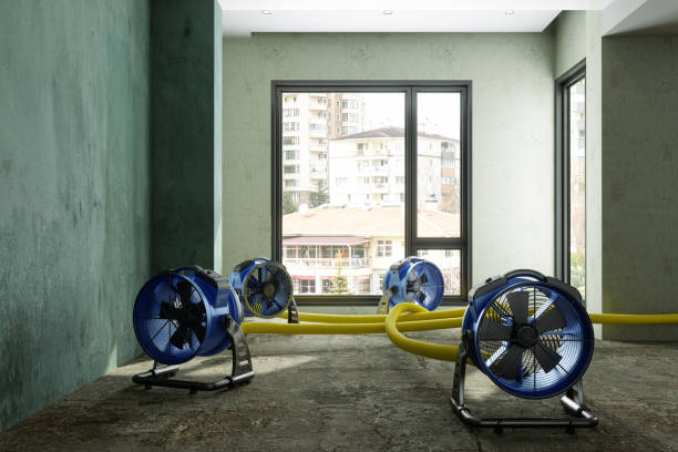  Eaton Rapids, MI Water damage restoration Pros